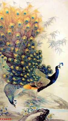 Tải file gốc File gốc tranh chim công CC6635 (bản PSD) chỉnh sửa được