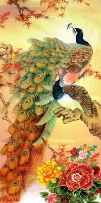 File tranh File gốc tranh chim công CC6636 (bản gốc) in lụa 5D