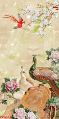 Download file ảnh gốc File gốc tranh chim công CC6665 để in ấn