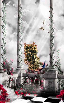 File gốc File gốc tranh chim công CC6737 (PNG) trong suốt (transparent)