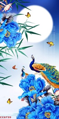 File in mica File gốc tranh chim công CC6739 (bản gốc) siêu trong