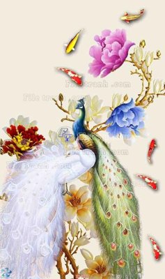 Tệp tin gốc File gốc tranh chim công CC7 (dùng cho in ấn) chuyên nghiệp