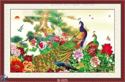 File in trần File gốc tranh chim công CC71 (bản gốc) 5D