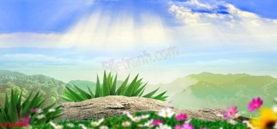 File tranh gốc File tranh dán tường cà phê nhà hàng CF8093 (sắc nét từng chi tiết)