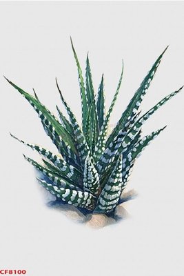 File gốc File tranh dán tường cà phê nhà hàng CF8100 (ảnh chi tiết) để in lụa