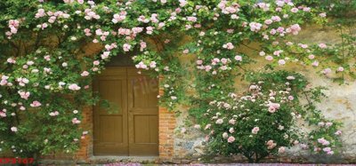 Tải file gốc File tranh dán tường cà phê nhà hàng CF8167 (in tráng gương) siêu đẹpFile tranh gốc File tranh dán tường cà phê nhà hàng CF8167 chất lượng cao