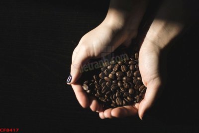 File tranh File tranh dán tường cà phê nhà hàng CF8417 (ảnh gốc) không bị mờ