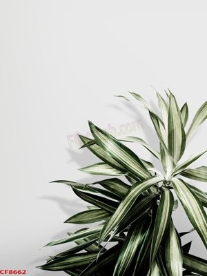 Tải file File tranh dán tường cà phê nhà hàng CF8662 (ảnh gốc) file AI/EPS