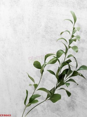 File PSD File tranh dán tường cà phê nhà hàng CF8665 (bản gốc) đã tách nền