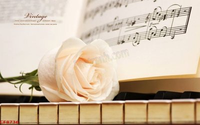 Tải file gốc File tranh dán tường cà phê nhà hàng CF8736 (in tráng gương) cao cấpFile gốc File tranh dán tường cà phê nhà hàng CF8736 (in ấn) phiên bản độc quyền