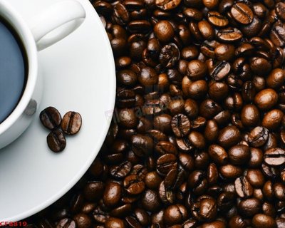 Tải file File tranh dán tường cà phê nhà hàng CF8819 (gốc) làm file in ấn