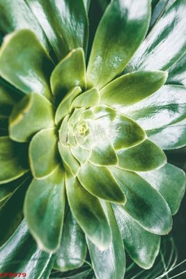 Ảnh gốc File tranh dán tường cà phê nhà hàng CF8979 (độ nét cao) in tráng gương