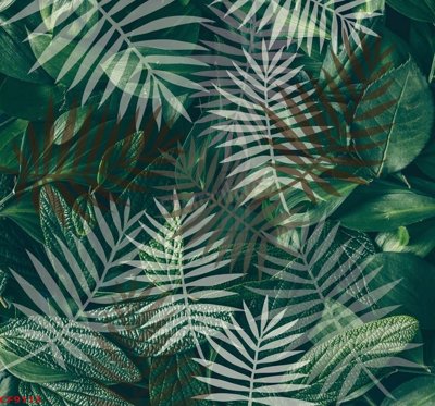 File tranh in trần File tranh dán tường cà phê nhà hàng CF9113 (ảnh gốc siêu nét)