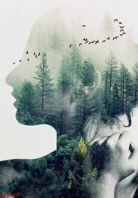 File in mica File tranh dán tường cà phê nhà hàng CF9132 (bản gốc) siêu trong