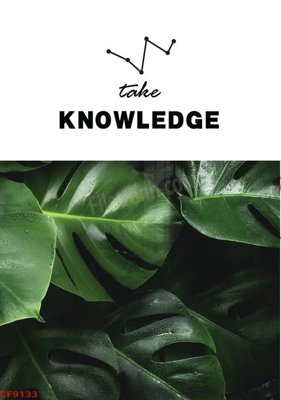 File ảnh File tranh dán tường cà phê nhà hàng CF9133 (gốc) in PP, decal