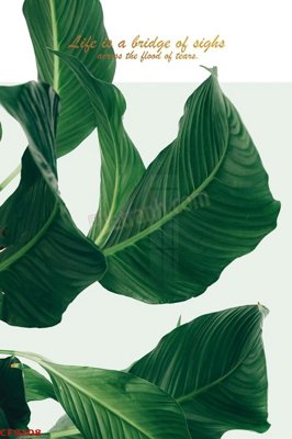 Mua file gốc File tranh dán tường cà phê nhà hàng CF9208 (chất lượng) tại Filetranh.com