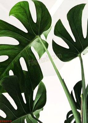 Download file File tranh dán tường cà phê nhà hàng CF9217 (chuẩn in) File tranh dán tường cà phê nhà hàng CF9217