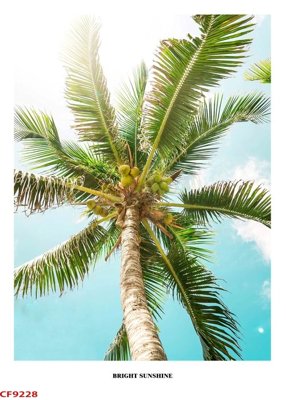 File in ấn File tranh dán tường cà phê nhà hàng CF9228 chuyên nghiệp