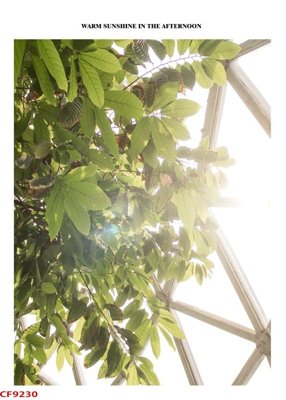 Tải file File tranh dán tường cà phê nhà hàng CF9230 (gốc) in trên mọi chất liệu