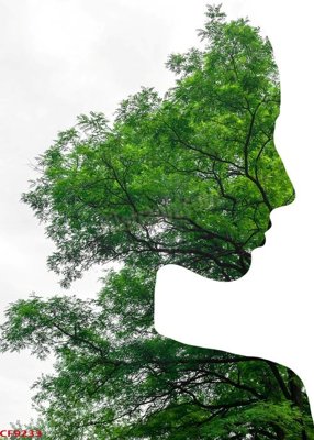 File tranh trang trí File tranh dán tường cà phê nhà hàng CF9233 (tải file gốc)