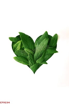 File tranh File tranh dán tường cà phê nhà hàng CF9234 (bản gốc) treo tường