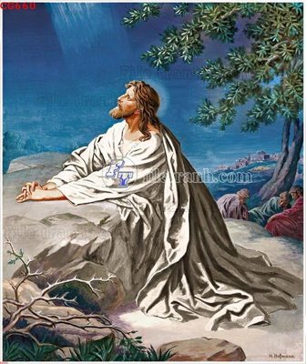 File tranh File gốc tranh công giáo CG660 (gốc) chủ đề tĩnh vật