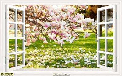 File tranh File gốc cửa sổ 3D CS153 (gốc) chủ đề con người