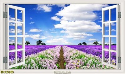 File tranh File gốc cửa sổ 3D CS185 (ảnh gốc) độc quyền