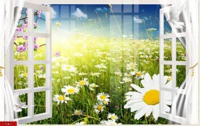 Tải file File tranh gốc cửa sổ 3D CS2298 (gốc) in ấn ngay lập tức