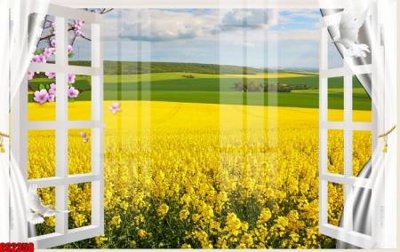 Hình ảnh file gốc File tranh gốc cửa sổ 3D CS2358 cho in UV