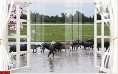 Tải file gốc File tranh gốc cửa sổ 3D CS2683 (in tráng gương) 3DFile gốc File tranh gốc cửa sổ 3D CS2683 (sẵn sàng in) chất lượng cao