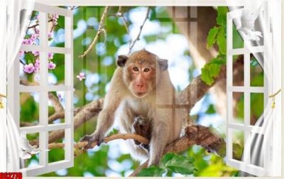 File PSD File tranh gốc cửa sổ 3D CS2776 (bản gốc) dễ dàng edit