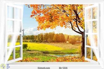 File tranh in tráng gương File gốc cửa sổ 3D CS36 (siêu nét)