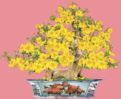 File in trần File tranh tài lộc CT21 (file gốc) xuyên sáng