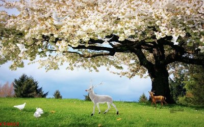 File PSD File tranh hoa đào hoa mai tài lộc CT4027 (nguyên bản) cho thiết kế