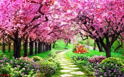 Tải file gốc in lụa File tranh hoa đào hoa mai tài lộc CT4038 siêu nét