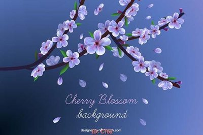 File in ấn File tranh tài lộc CT62 (bản gốc) cao cấp