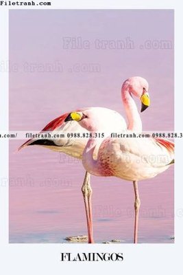 File gốc Chuoi tham my bac au 130 (dành cho trang trí nội thất)