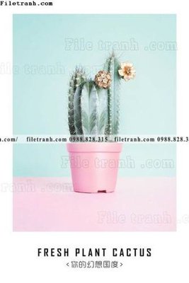 File tranh Chuoi tham my bac au 146 (bản gốc) in canvas