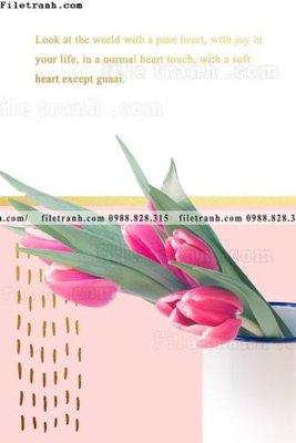 File tranh quảng cáo Chuoi tham my bac au 152 (file gốc) chuyên nghiệp