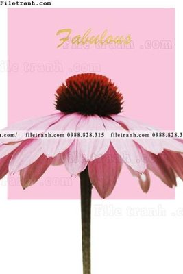 File tranh Chuoi tham my bac au 153 (gốc) chủ đề trừu tượng