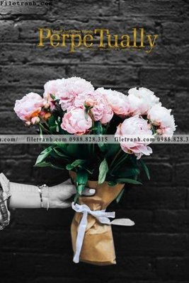 File PSD Chuoi tham my bac au 183 (chất lượng in ấn)