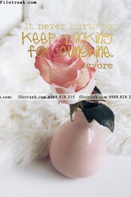 File gốc Chuoi tham my bac au 188 (cho in ấn) từ kho Filetranh