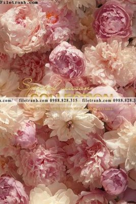 Chi tiết file ảnh Chuoi tham my bac au 192 sắc nét