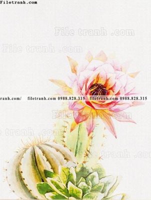 File gốc Chuoi tham my bac au 202 (chuẩn màu) cho in offset