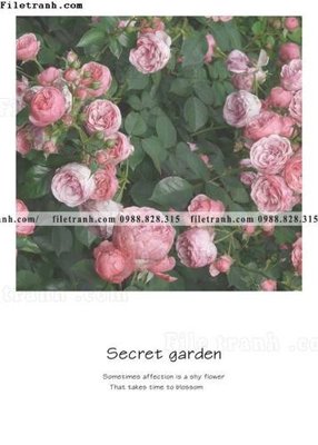 File PSD Chuoi tham my bac au 207 (bản gốc) chất lượng nhất