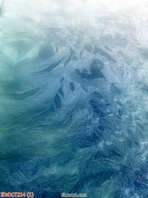 File tranh File vân đá cẩm thạch DCT214 (gốc) chủ đề tĩnh vật