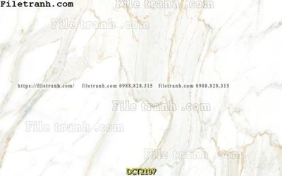 File gốc File vân đá cẩm thạch DCT2197 (phong cách) châu Âu