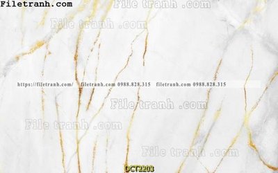 File gốc File vân đá cẩm thạch DCT2203 (thiết kế) cho in ấn