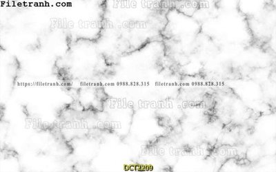 File tranh in tráng gương File vân đá cẩm thạch DCT2209 (siêu nét)